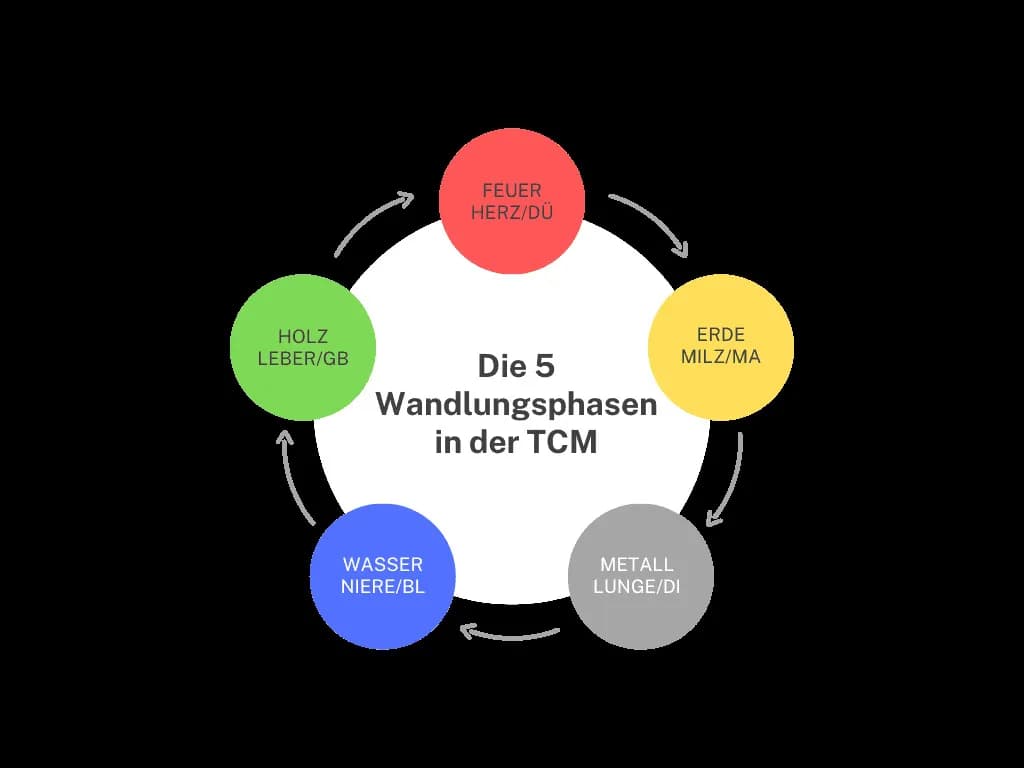 Traditionelle Chinesische Medizin in Wien